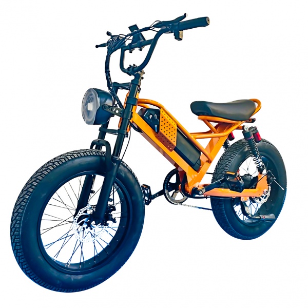 M6 electric bicycle