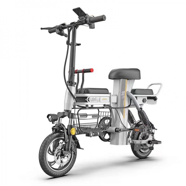 Two-wheeled electric vehicle
