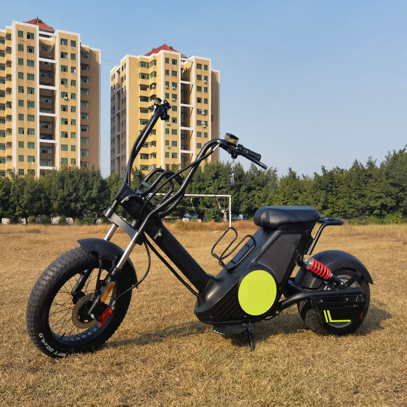 Citycoco Electric Scooter