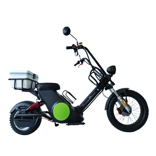 Citycoco Electric Scooter