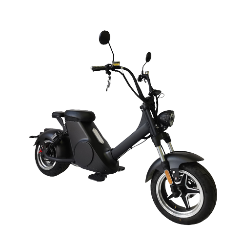 Citycoco Electric Scooter