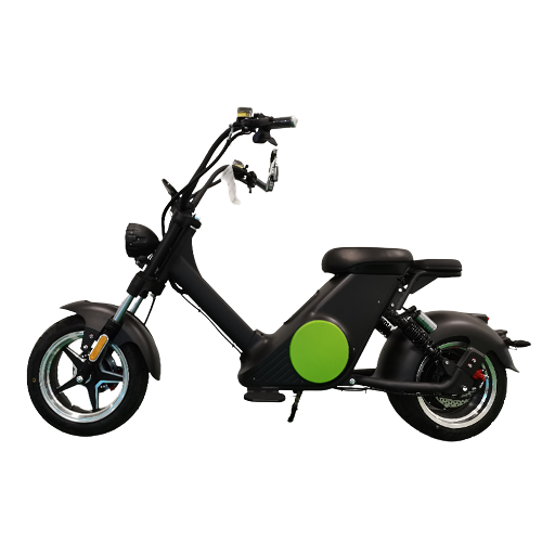 Citycoco Electric Scooter