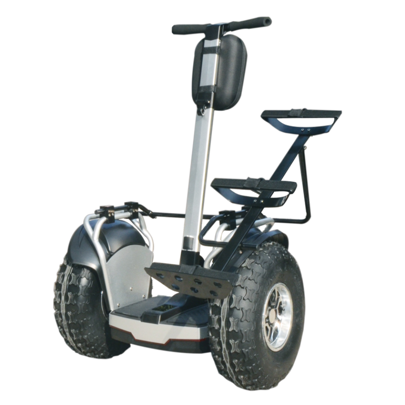 AGL-Y8 Self-balancing scooter