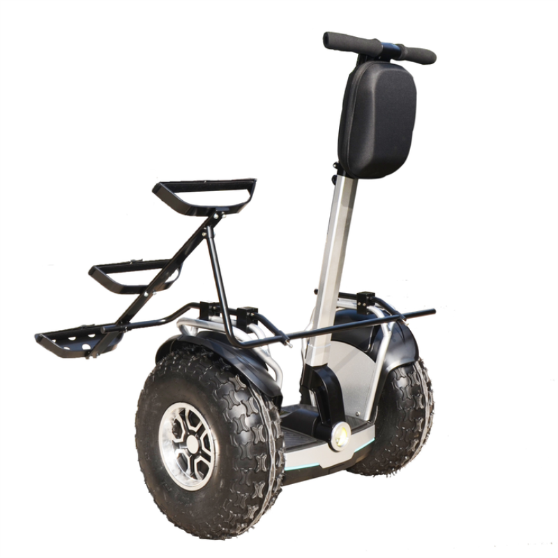 AGL-Y8 Self-balancing scooter