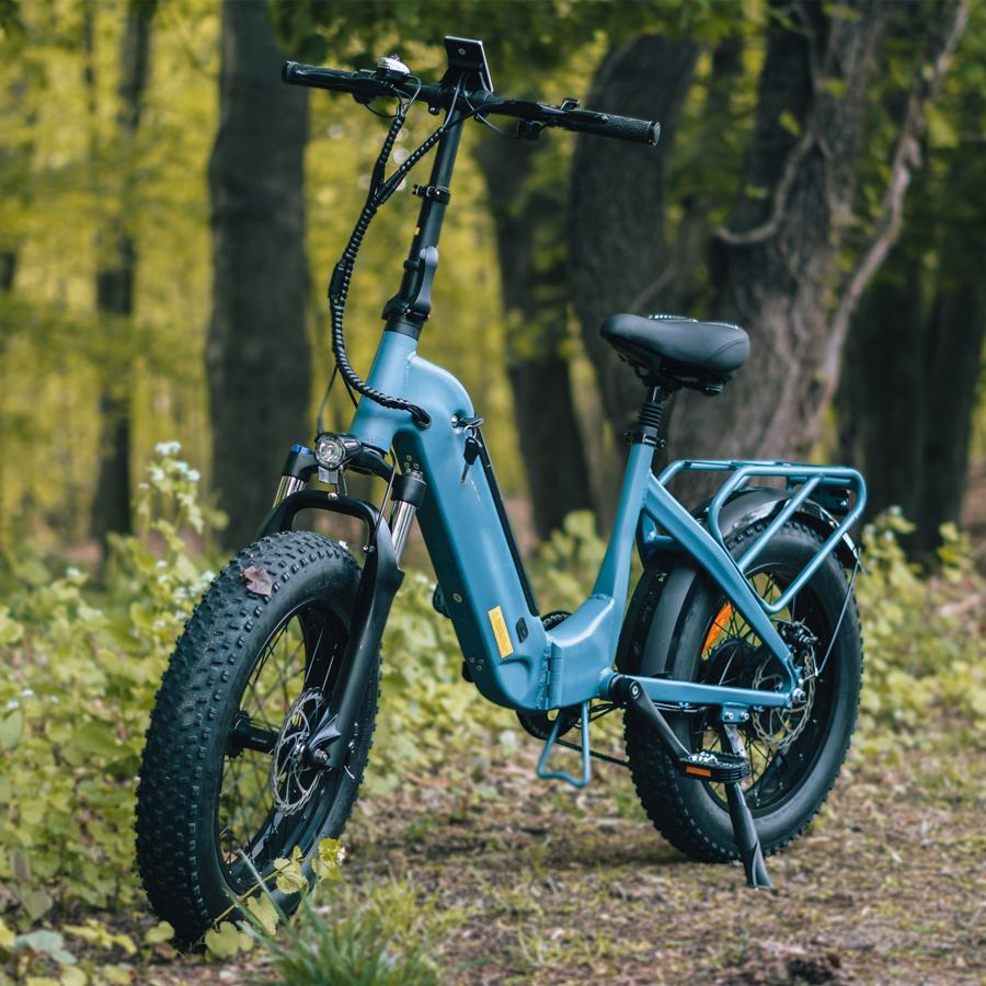 FF500 Electric bicycle