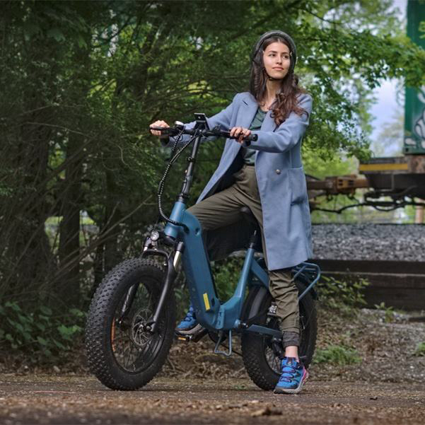 FF500 Electric bicycle
