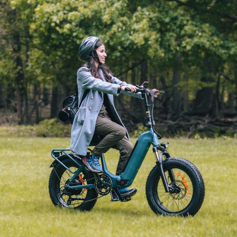 FF500 Electric bicycle