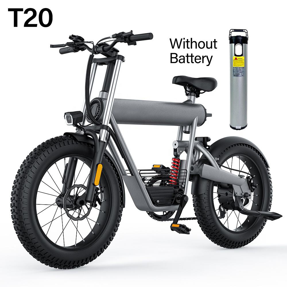 T20   Electric bicycle
