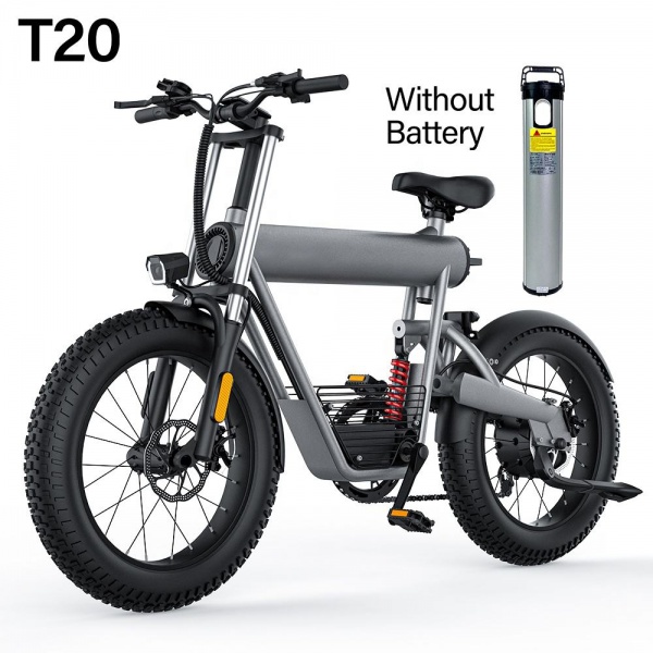 T20   Electric bicycle