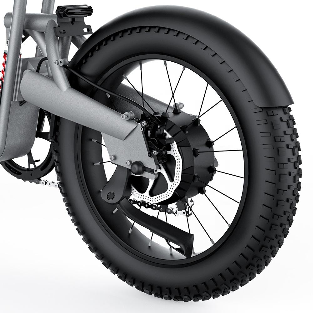 T20   Electric bicycle