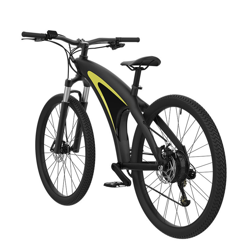 A5   Electric bicycle