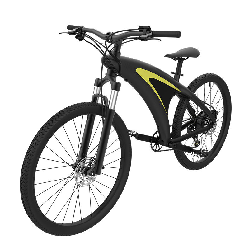 A5   Electric bicycle
