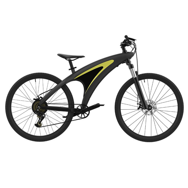 A5   Electric bicycle