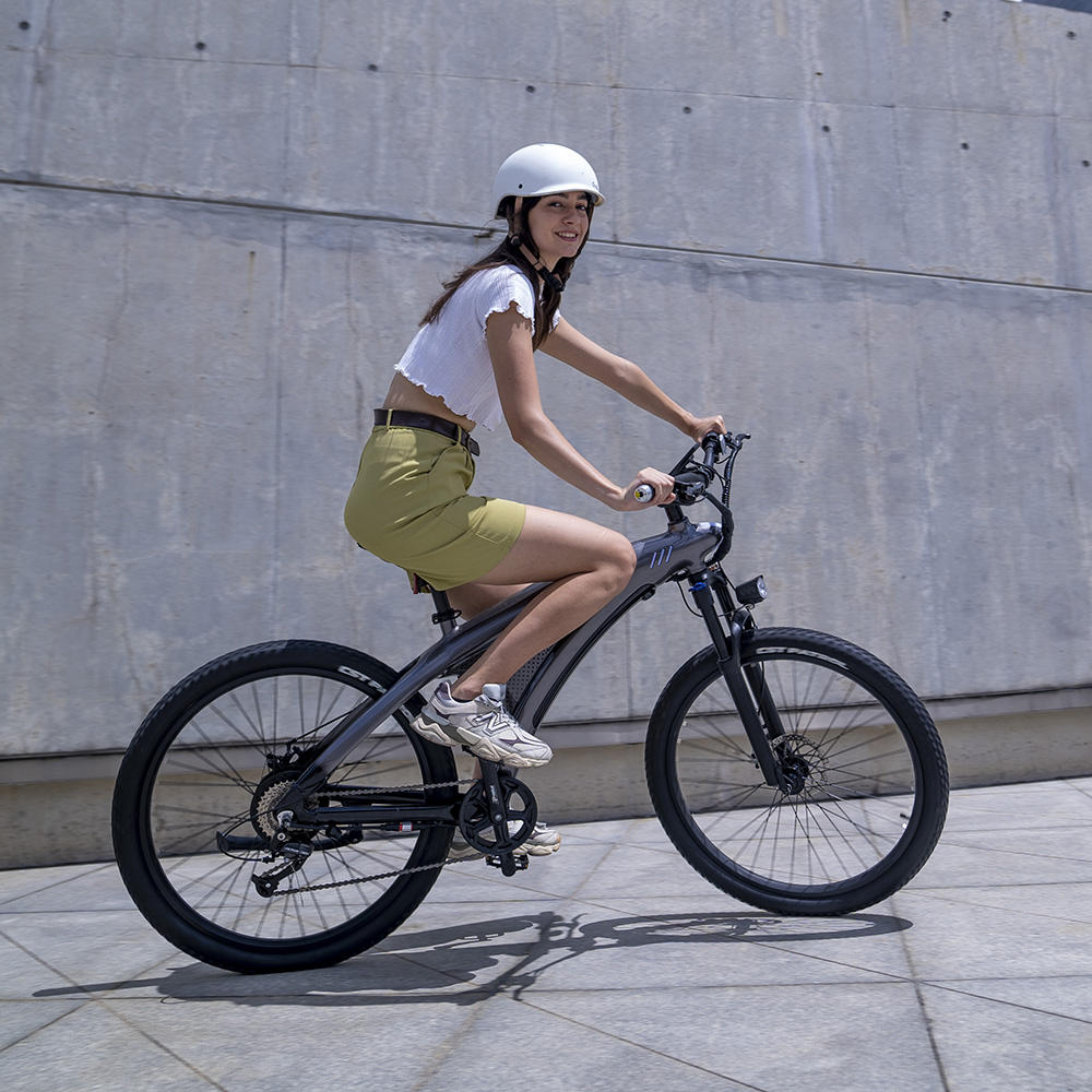 A5   Electric bicycle
