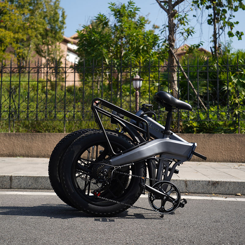 ZX-X1 Electric bicycle