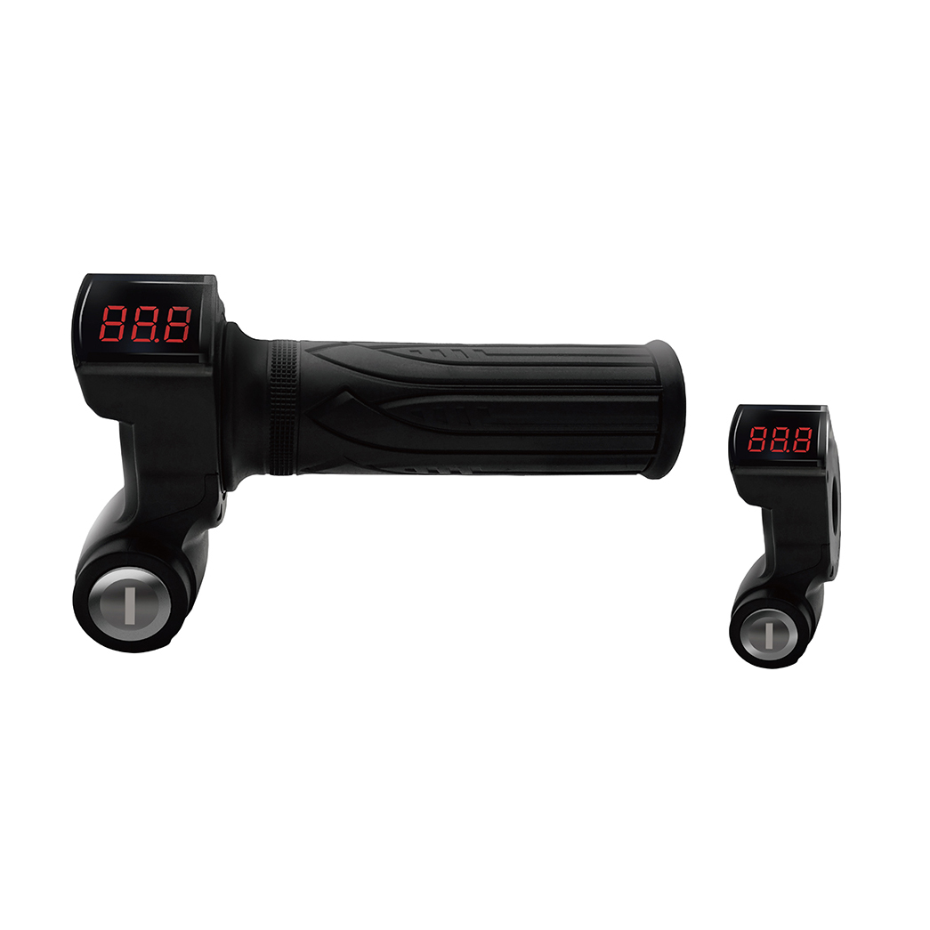 TT113