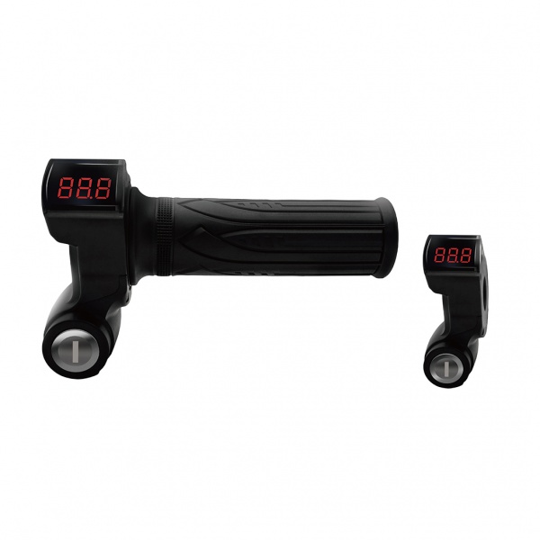 TT113