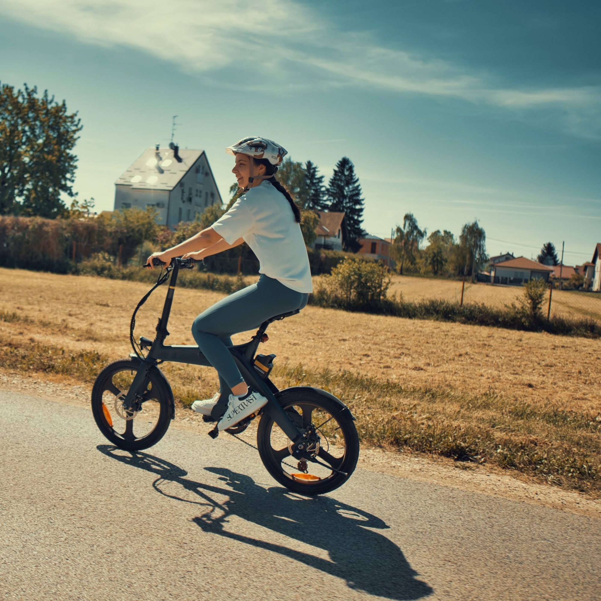 20-inch foldable adult electric bicycle