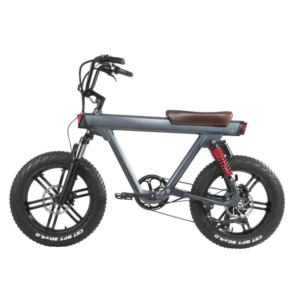 20-inch 750-watt detachable battery electric bicycle