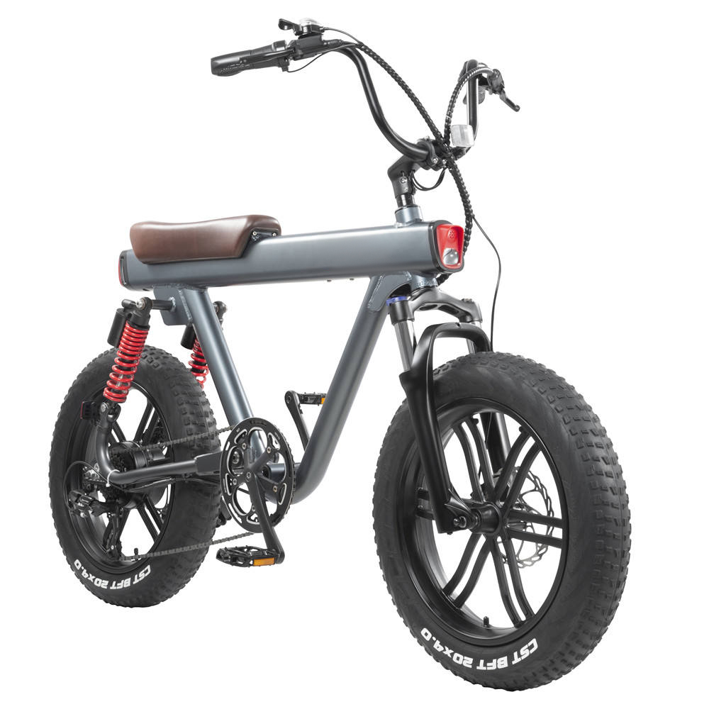 20-inch 750-watt detachable battery electric bicycle