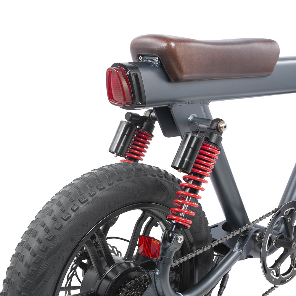 20-inch 750-watt detachable battery electric bicycle