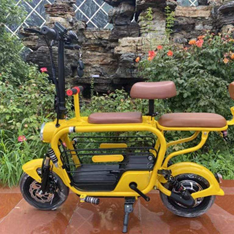 Pet Electric bicycle