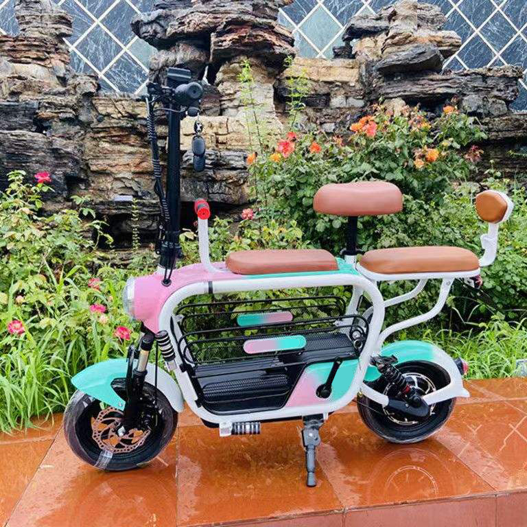 Pet Electric bicycle