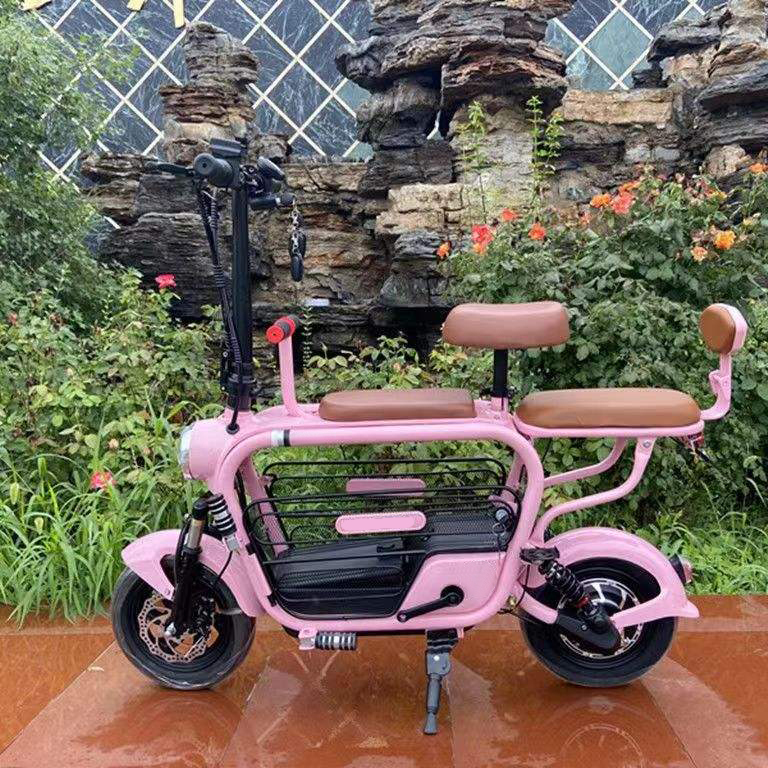 Pet Electric bicycle