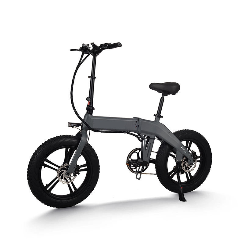 FTC600  Electric Bike 20Inch 48V10.5Ah