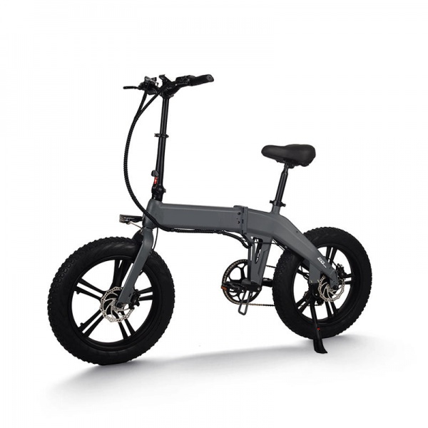 FTC600  Electric Bike 20Inch 48V10.5Ah