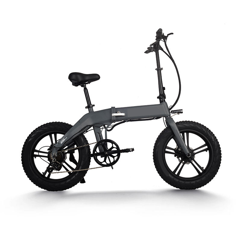 FTC600  Electric Bike 20Inch 48V10.5Ah