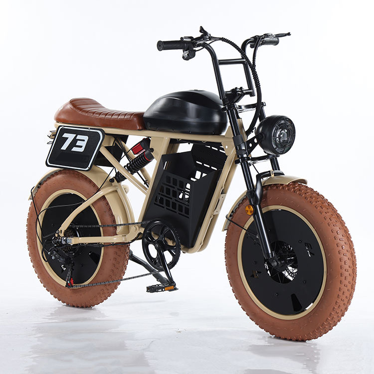 Electric Mountain Bike/Electric Road Bike RXS