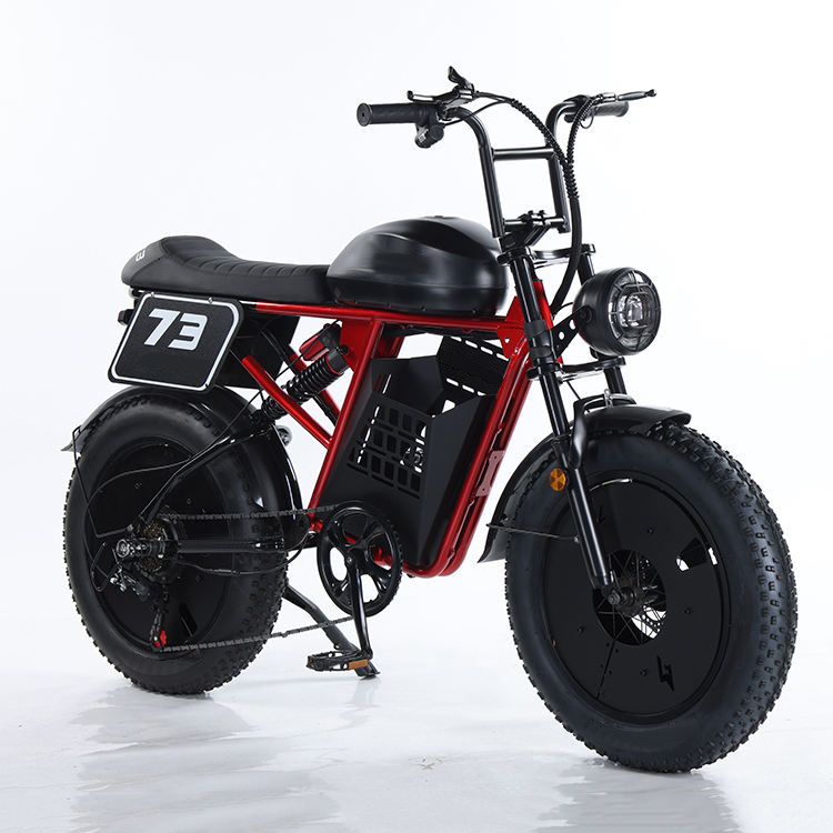 Electric Mountain Bike/Electric Road Bike RXS