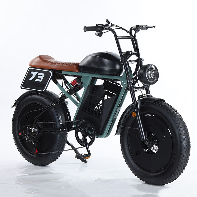 Electric Mountain Bike/Electric Road Bike RXS