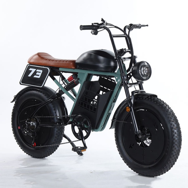 Electric Mountain Bike/Electric Road Bike RXS