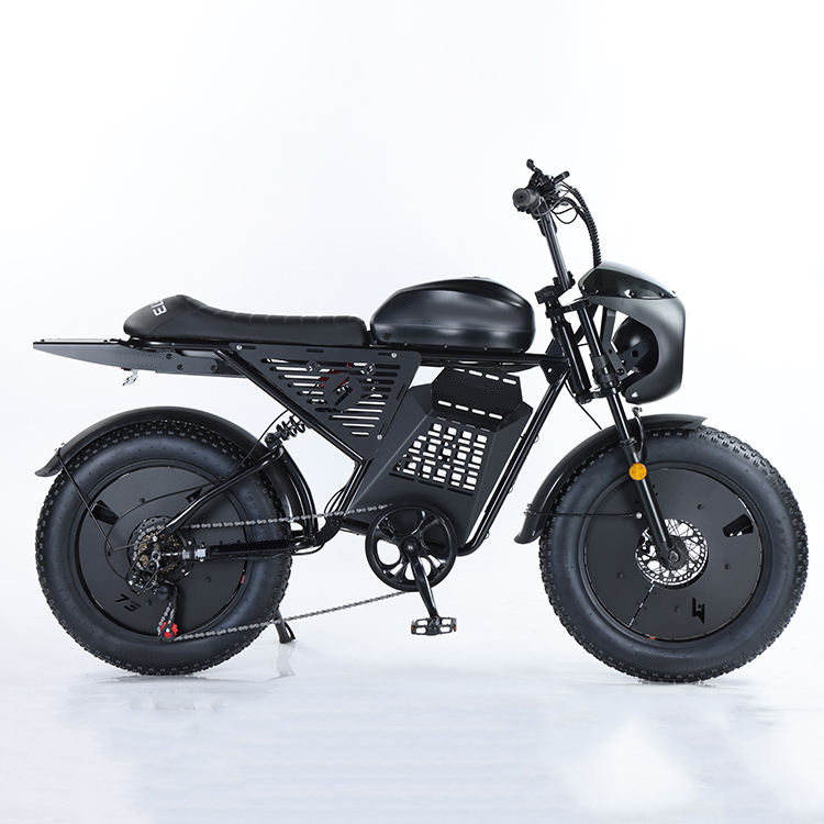 Electric Mountain Bike/Electric Road Bike RXS