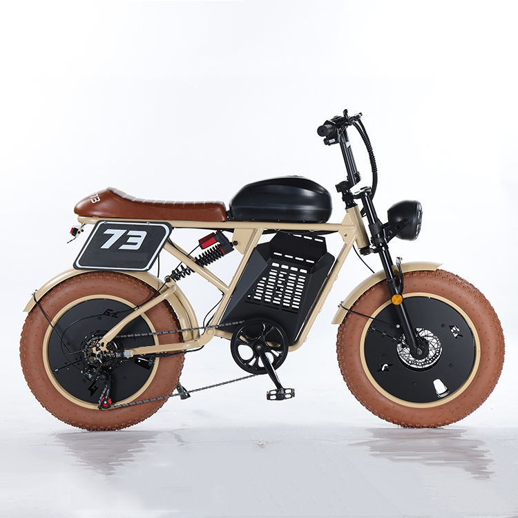 Electric Mountain Bike/Electric Road Bike RXS