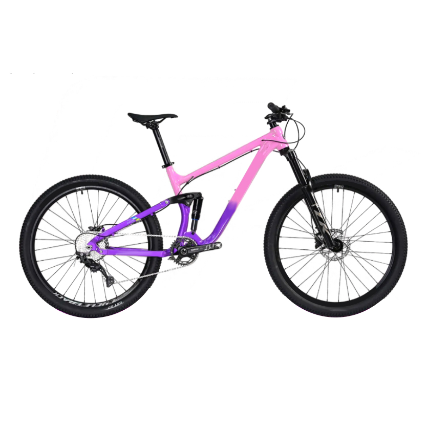 Aluminum alloy mountain bike