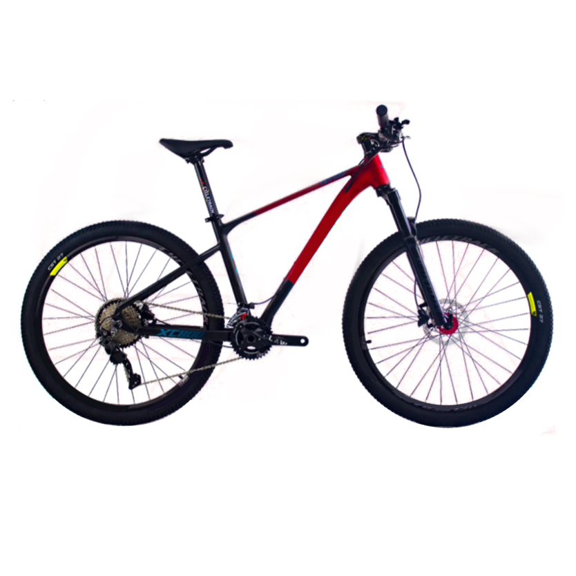 Mountain bike