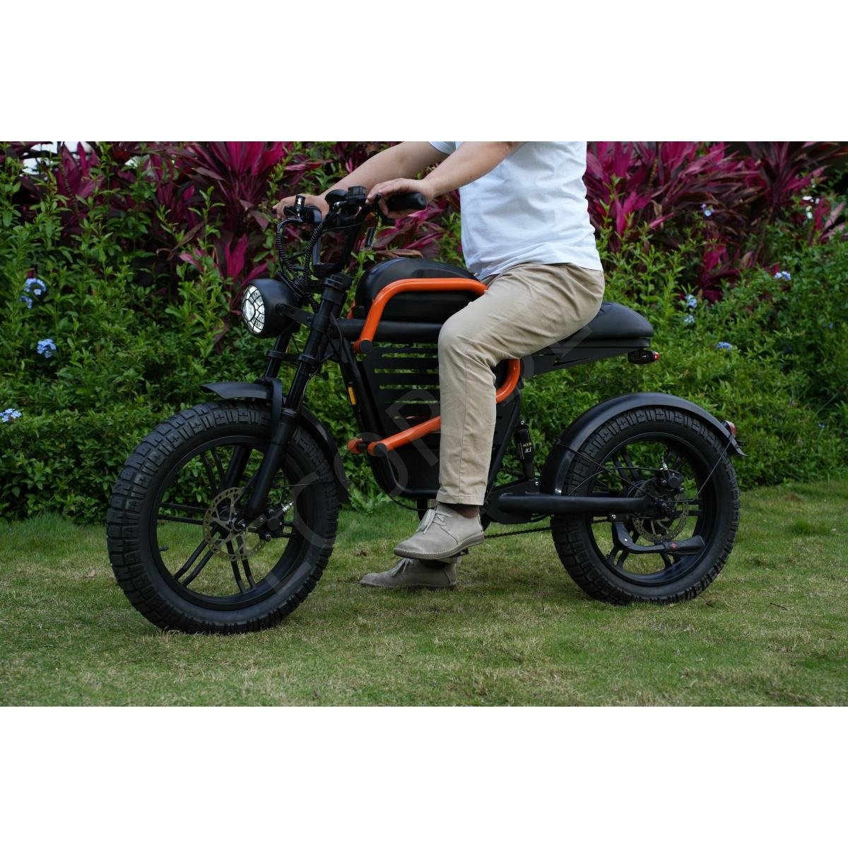 Electric bicycle V7 electric bicycle adult