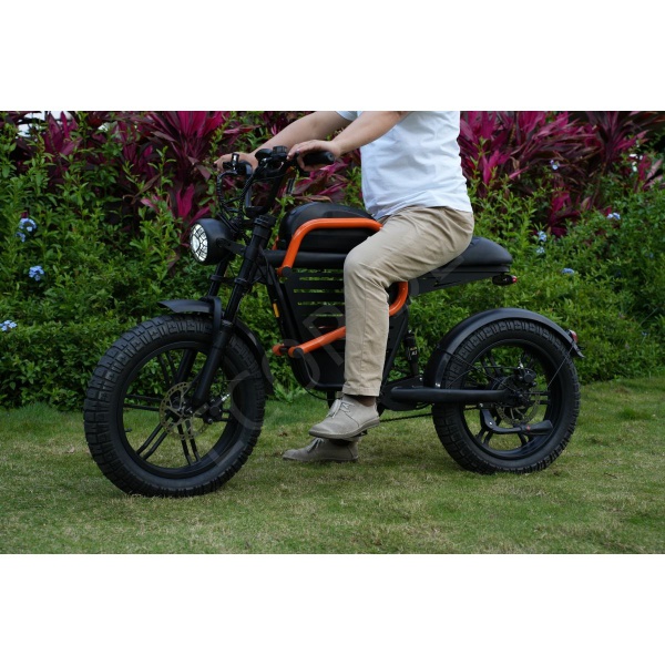 Electric bicycle V7 electric bicycle adult