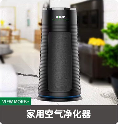 Home Air Purifier