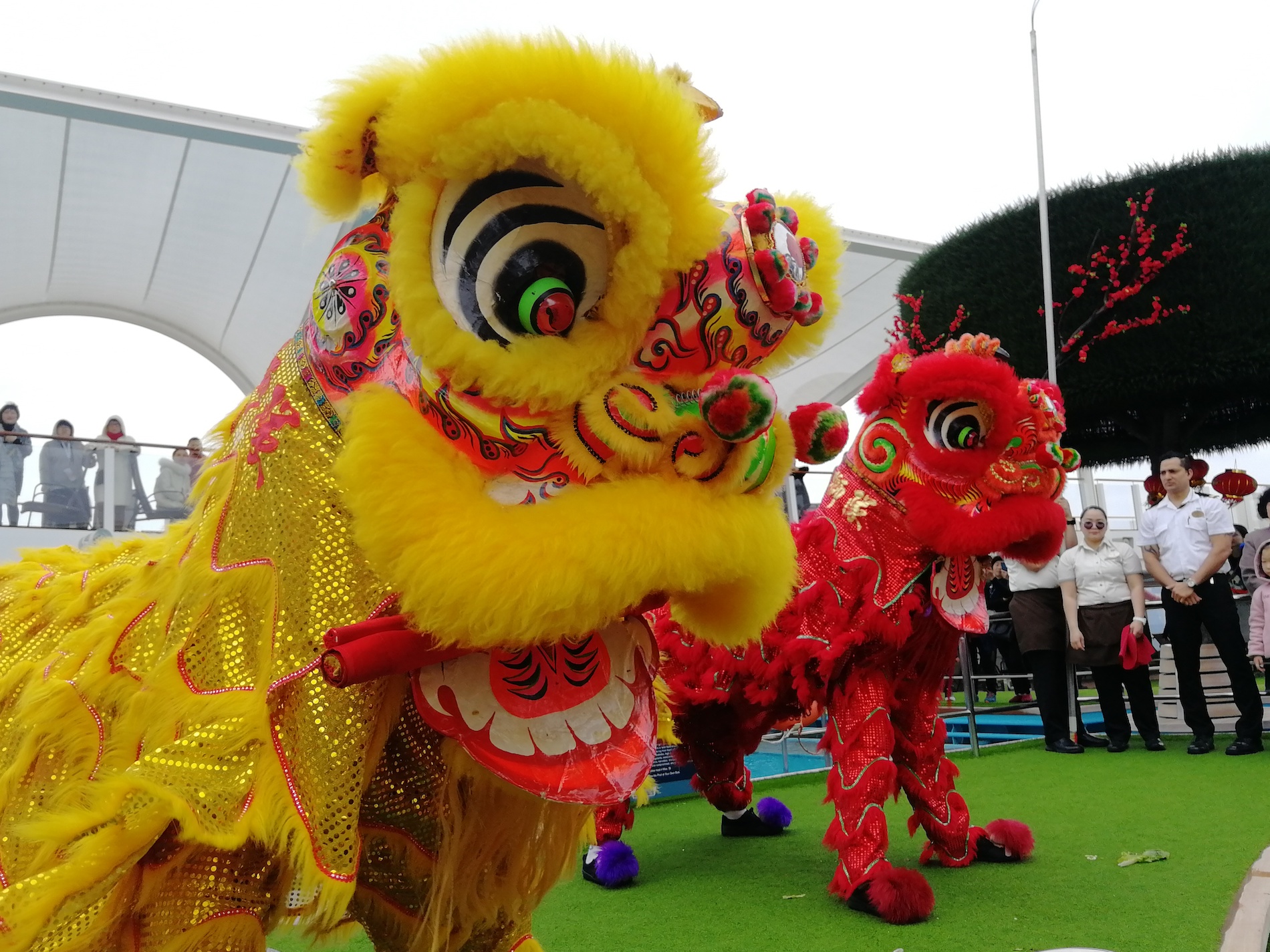 Dragon & Lion Dance