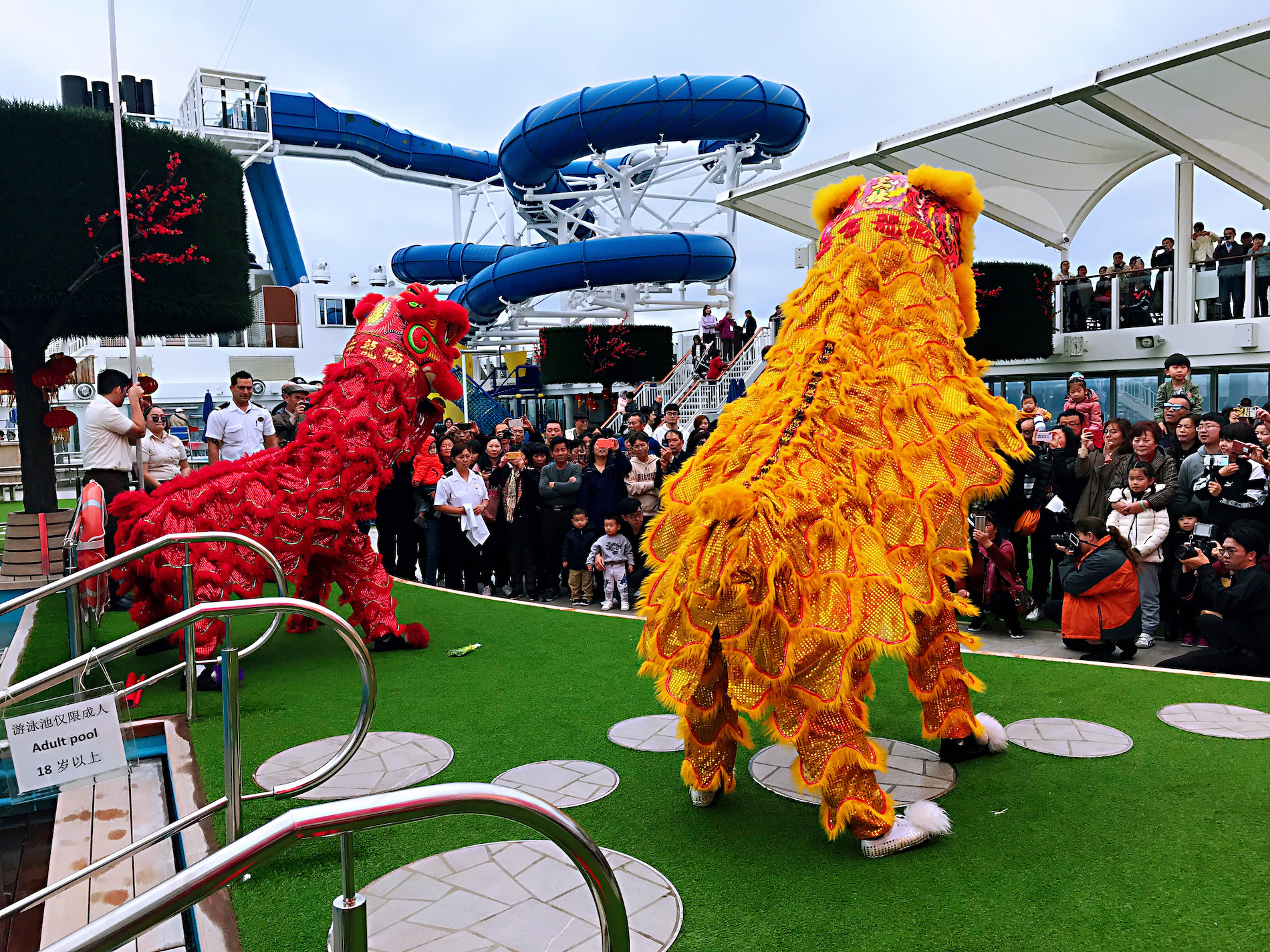 Dragon & Lion Dance