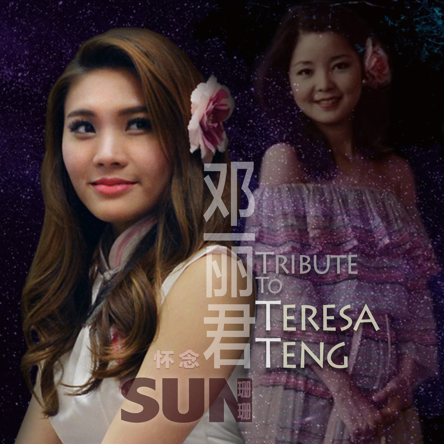 Sunsun