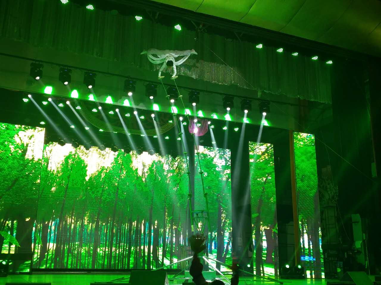 Handstand on Bamboo