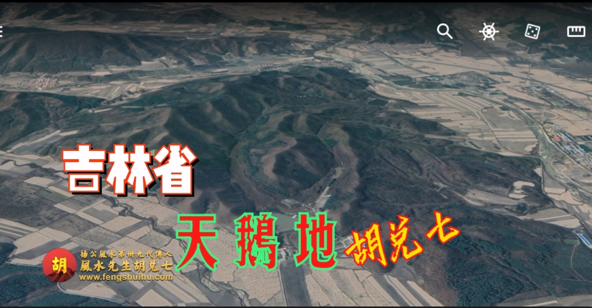 胡先生到吉林省延边相地，天鹅地