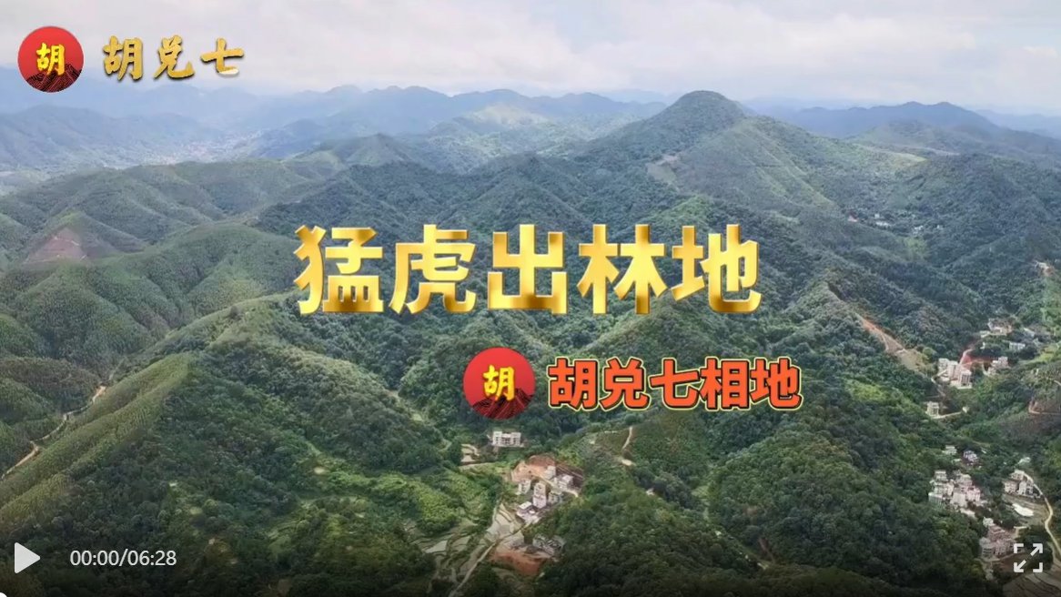 在广东高州为客户点穴，喝形“猛虎出林”