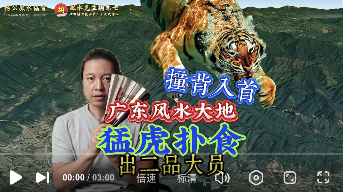 后人出二品大员，广东风水大地猛虎扑食分享，胡兑七详解撞背入首