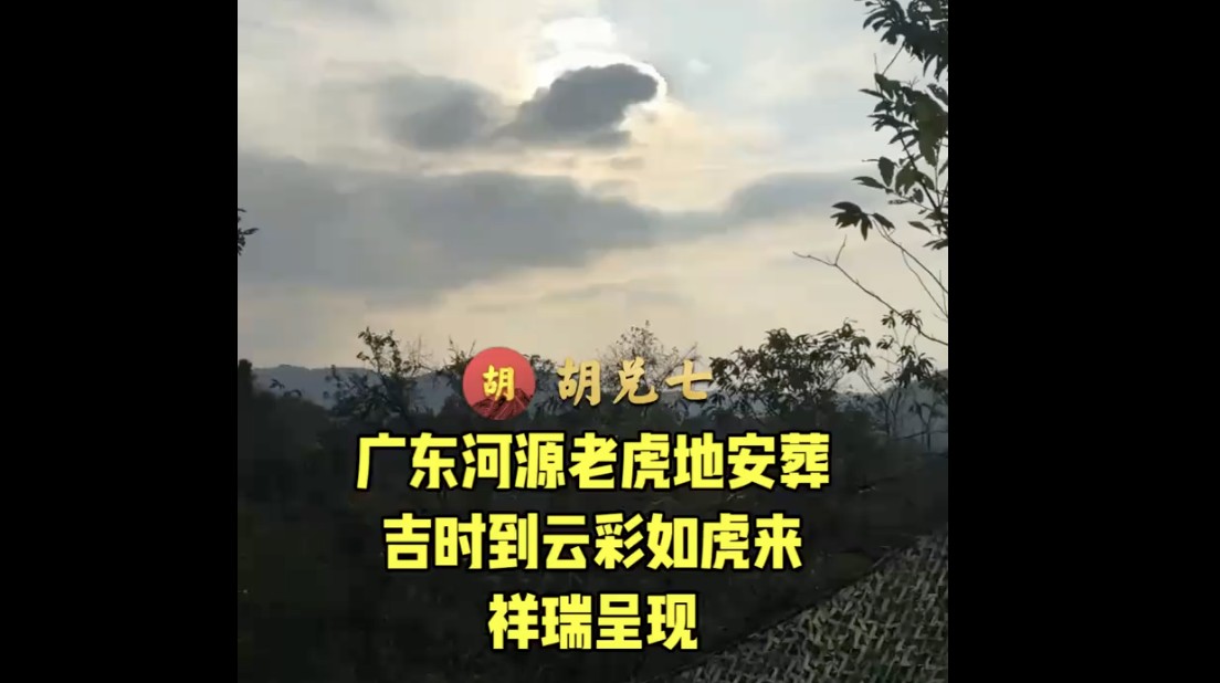 【VPN观看】广东老虎地安葬，祥云老虎来贺，福主有福气，先生靠眼力